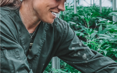 JobMaker hiring credit: What you need to know