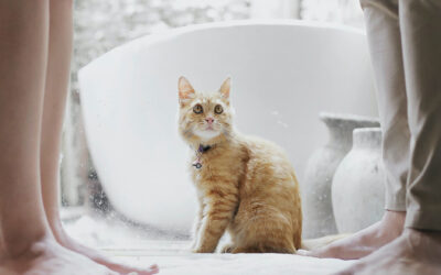 2021 November Newsletter