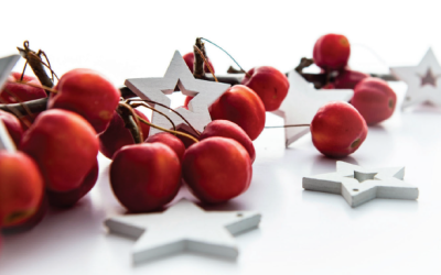 2024 December Newsletter